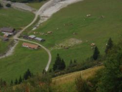 2013-09-08_6Falkenh-Steinfalk (324).JPG
